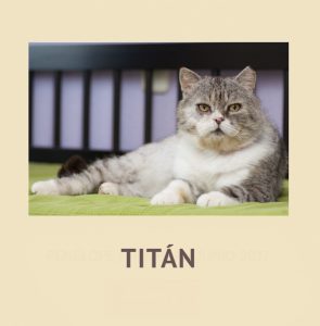 titan home